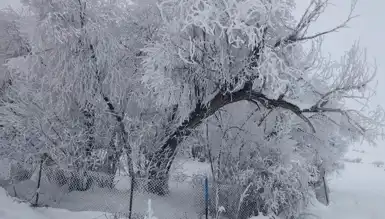 Erzurum Aşkale'de Hayat Dondu: -25 Derece Soğuk!